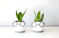 Lunettes écoresponsables : ce que ça veut vraiment dire