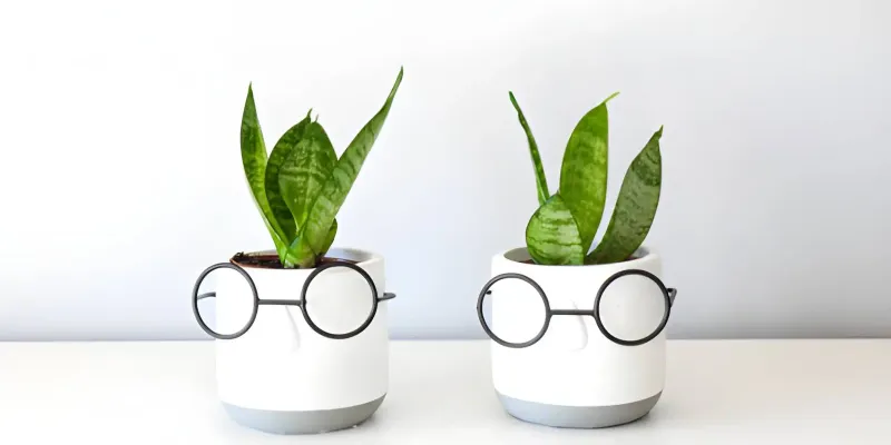 Lunettes écoresponsables : ce que ça veut vraiment dire